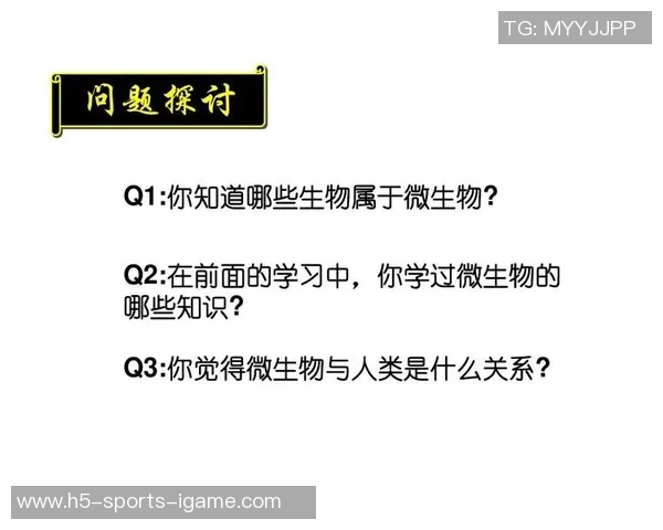 网球国家教练组组长的职责与使命探讨及其对国家体育发展的影响